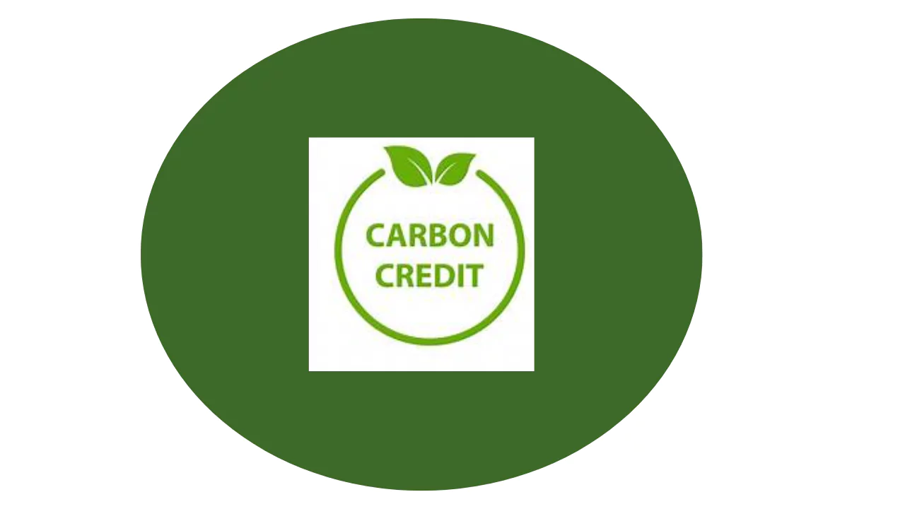 WB Carbon Credit Card